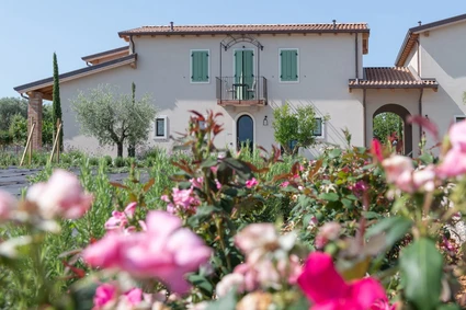 Light Lunch in Wine Resort: L’Aperitivo Creativo Vista Lago a Lazise 0